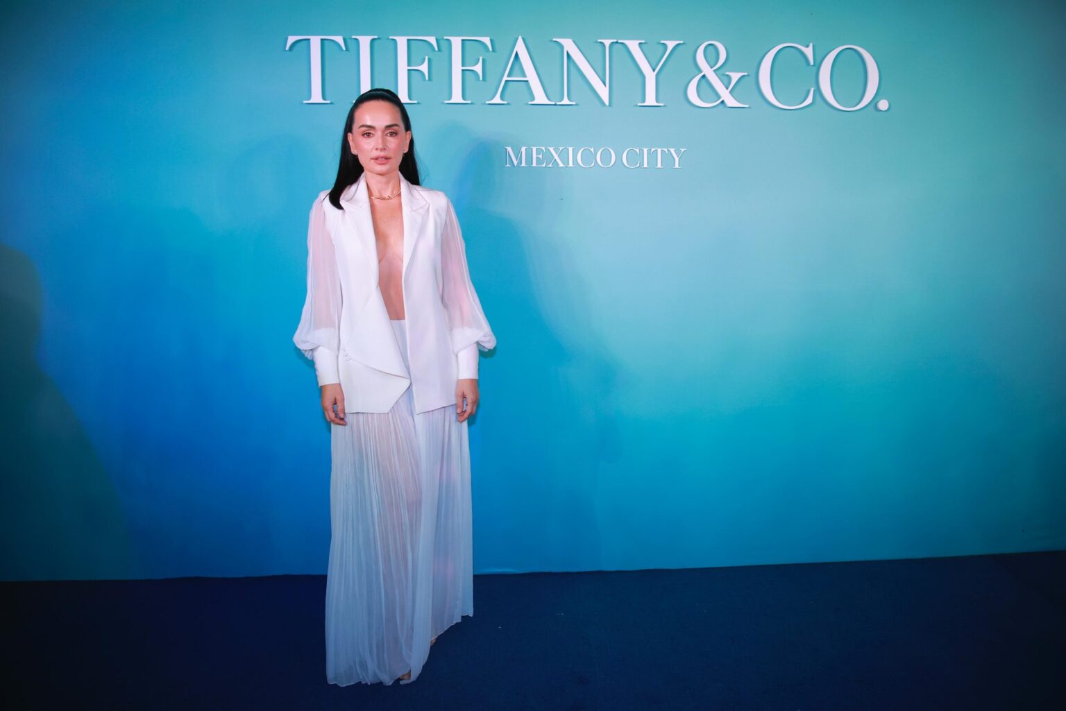 campaign-tiffany-ana-de-la-reguera-main